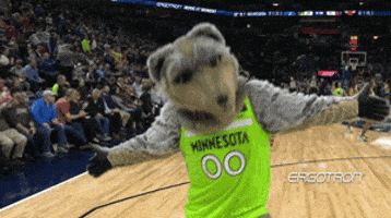 Lets Go Mascot GIF by NBA