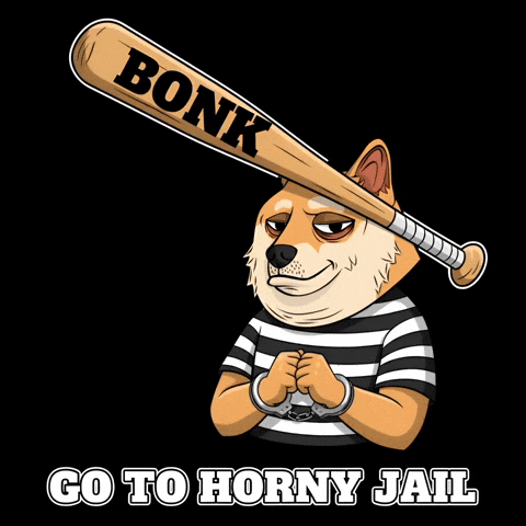 Shiba Inu Jail GIF by Doge Pound
