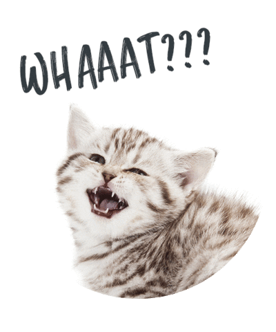 dotsure giphyupload what whaaat dotsure Sticker