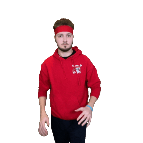 Alsenic giphyupload nope non nonsense Sticker