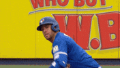 Blue Jays Celebration GIF by Toronto Blue Jays