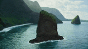 surfing hawaii GIF