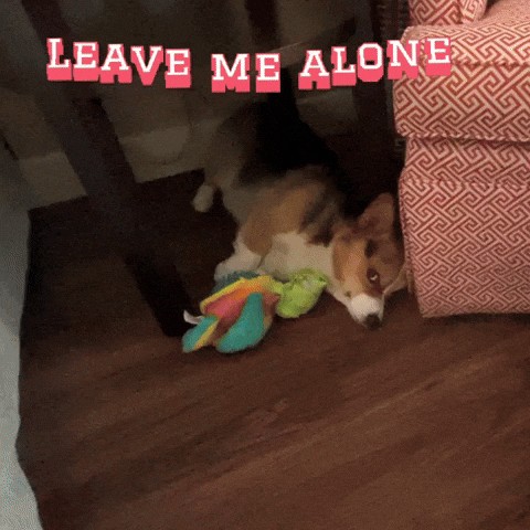 Leave Me Alone GIF