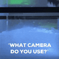 Photography Meme GIF by Jonti Wild