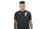 Winning Ea Sports Sticker by Bundesliga