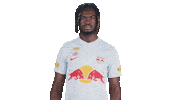 Football No Sticker by FC Red Bull Salzburg