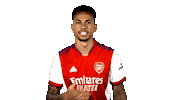Celebrate London Sticker by Arsenal