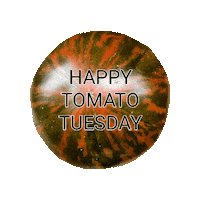 Seed Tomatoes Sticker by Tomato Revolution seeds
