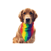 Rainbow Dog Sticker by Geekster Pets