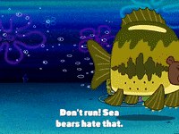 season 3 krabby land GIF by SpongeBob SquarePants