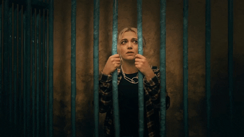 Dave Meyers GIF by P!NK