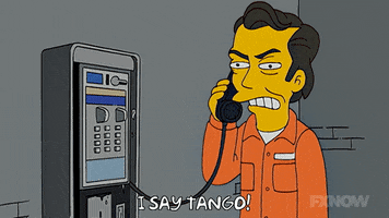 Episode 4 GIF by The Simpsons