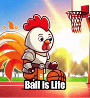 Basketball Practice GIF by Zorooster