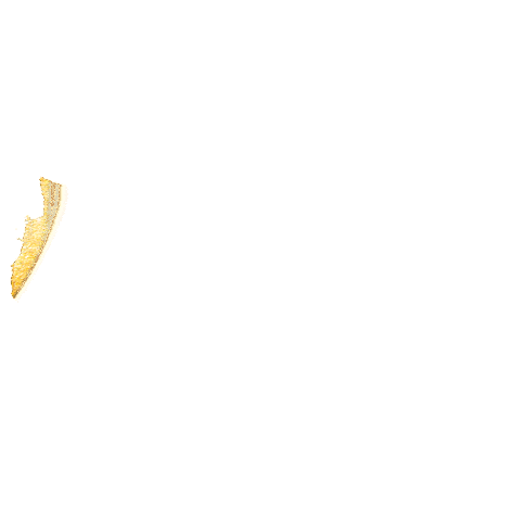 vcu igotin Sticker by Virginia Commonwealth University
