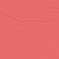 Youre The Best Teddy Bear GIF by Teddy Too Big