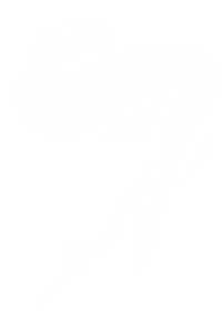 Sexy Legs Sticker