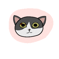 vlaurent25 shiro shirothecat shirothedevil Sticker