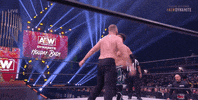 Top Flight Wrestling GIF by AEWonTV