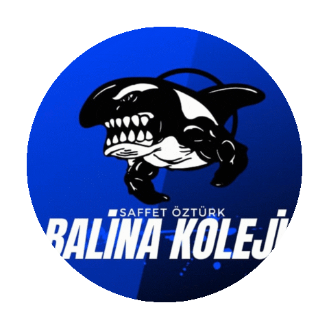 balinakoleji bk kolej bks ozturk Sticker