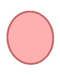 Eye Egg Sticker