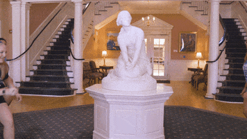 LongwoodUniversity lu lancer longwood longwood university GIF