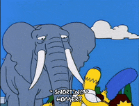 homer simpson elephant GIF