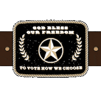 Vote Early Voting Rights Sticker by Creative Courage