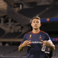 Chicago Fire Win GIF by Chicago Fire Football Club