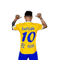 Football Tag Sticker by Fortuna Liga