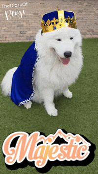 King Kingdom GIF