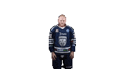 Ice Hockey Sticker by Fehervar AV19
