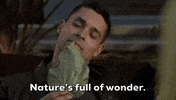 Jethro Gibbs Ellie Bishop GIF by CBS