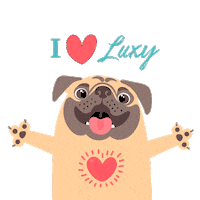 Pets Wellness Sticker by NirvanaHotels