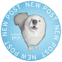 Benji Nieuw Sticker