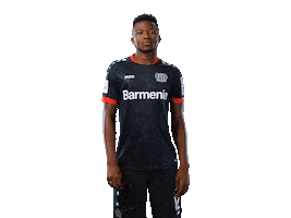 Bayer 04 Werkself Sticker by Bayer 04 Leverkusen