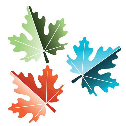 Leaf Leaves GIF by Foundry BC