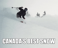 Snow Canada GIF by Sunshine Village