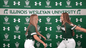 Tgoe Iwusoftball GIF by iwusports