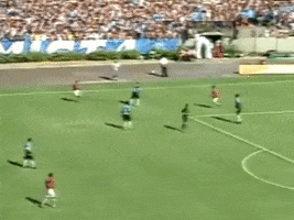 Colorado Inter GIF by Sport Club Internacional