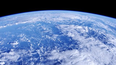 symphony for our world GIF by Nat Geo Wild 