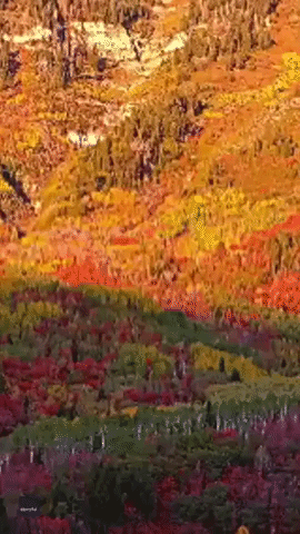 Drone Footage Captures Vibrant Fall Foliage at Utah's Mount Timpanogos