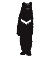 Dance Bear Sticker by CRITIC