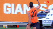 afl afl celebrations afl finals GIF