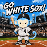White Sox Baseball GIF by Respective