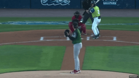 tesstass giphyupload GIF