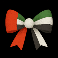 Dubai Diversity GIF by Year Of Sustainability