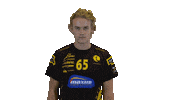 Floorball Salibandy Sticker by F-liiga