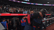 Blue Jays Baseball GIF by Toronto Blue Jays