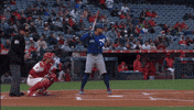 Home Run Baseball GIF by Toronto Blue Jays