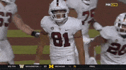 gostanford  GIF